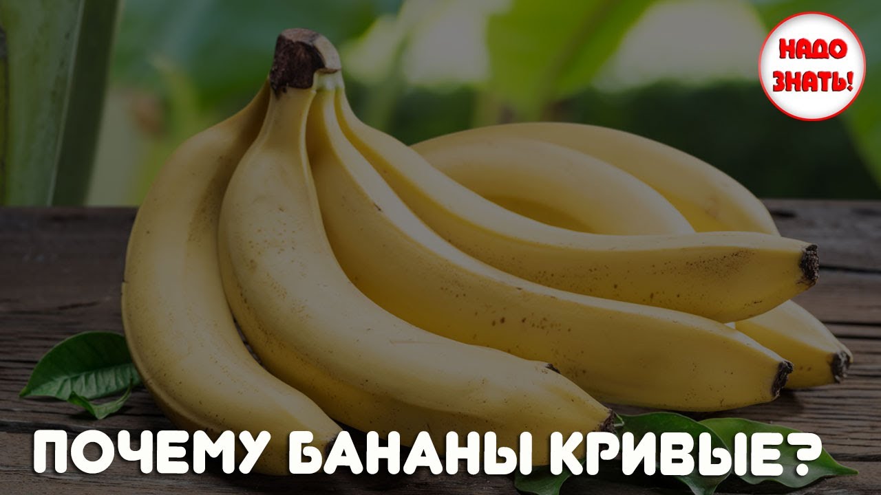 Почему Бананы Нельзя При Диете