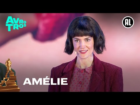 Musical Amélie - Dromen Zijn Voor Dwazen