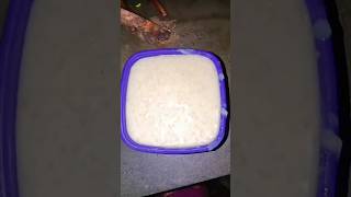 Payesh Testy