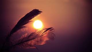 1 Hour Peaceful Meditation Music