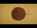 reprogrammed stem cells