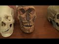 magnon