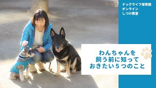 わんちゃんを飼う前に知っておきたい5つのこと