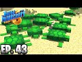 MONEY FARM FOR GAMBLING PROBLEM!!! |H6M| Ep.43 How To Minecraft Season 6 (SMP)