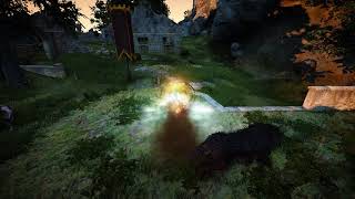Black Desertth Tamer Combo Lvl60