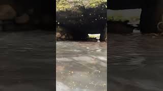 Aliran Sungai #Shorts #Short #Shortvideo #Aliransungai