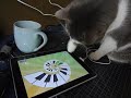 ipads