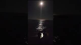 Gece Deniz Kenarı