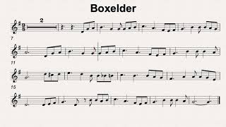 G Maj 98 Boxelder