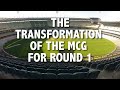 mcg