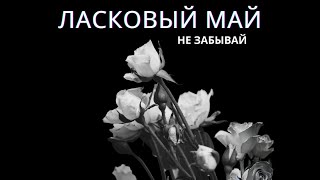 Ласковый Май - Не Забывай. Премьера Песни. ( Альбом Не Забывай 2023)