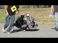 Watch: Wildcat - Four-legged Robot Wildcat - Four-legged Robot