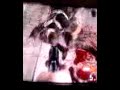 69img zombies (cod waw/5)