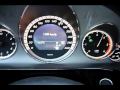 2009 Mercedes Benz E350 CDI Acceleration 0 - 200km/h