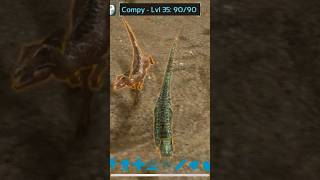 How Not To Tame A Compy