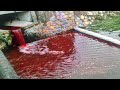 Apocalyptic "The River Turns Blood Red" In Slovakia