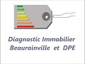 diagnostiquer la presence de termites