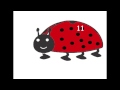 J'apprends les animaux
