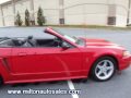 1999 Ford Mustang SVT Cobra Convertible for Sale.wmv