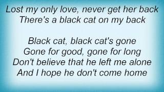 Watch Chris Cornell Black Cat video