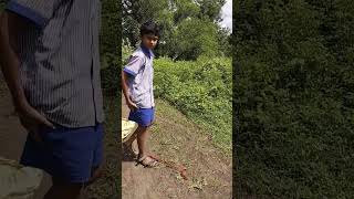 Snake Release Sap