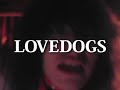 毛皮のマリーズ "LOVE DOGS" （PV）