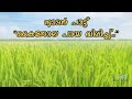 Nadanpattu | കൈതോല പായ വിരിച്ച് നാടൻ പാട്ട് | Kaithola Paya Virichu Instrumental