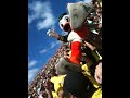 Puddles (The Duck) Goes Crowd Surfing at Autzen Stadium