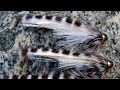 Tube minnow fly tying instructions by Ruben Martin Tube minnow fly tying instructions by Ruben Martin
