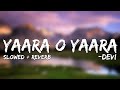 Yaara O Yaara (Lyrics) Slowed + Reverb