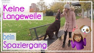 ? Milka Mittwoch ? Keine Langeweile beim Spaziergang ? KaroLovesMilka