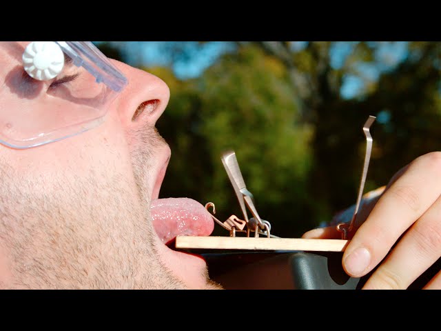 Tongue In Mouse Trap Will Make You Cringe - Video