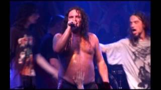 Watch Tankard Poison video
