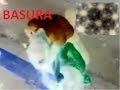 «Pelea De Liceistas Juambautista castro»