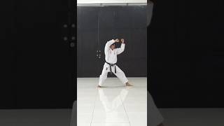 Kata Heian 2