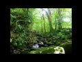 DMT ~ The Best All Natural Drug On The Planet