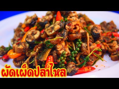 ผัดเผ็ดปลาไหลรสเด็ด เมนูกับแกล้มชั้นเลิศ ` แม่โบว์พากิน