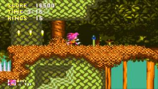 Lets Play Sonic 3 & Amy Rose - Part 4 - Where Is That Ring?