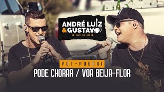 Andre Luiz e Gustavo - Pode Chorar / Voa Beija Flor (DVD AO VIVO NO HARAS)