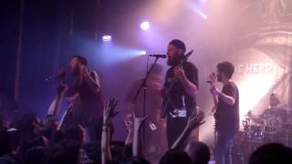 Watch Protest The Hero Tilting Against Windmills video