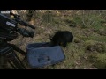 Bear Hijacks Camera - The Bear Family and Me - BBC Two