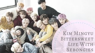 Kim Mingyu Bittersweet Life With Sebongies