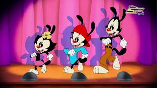 Animaniacs 2020 - Intro Arabic, Fanmade