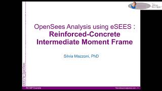 eSEES for OpenSees: RC Intermediate Moment Frame