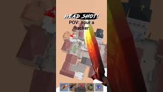Pov Your A Roblox Hacker