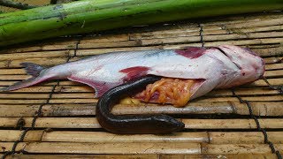 Wow! Unbelievable Eel In Big Fish - Cooking Eels in Banana Tree For Lunch