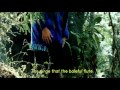 image Dure Kothay Dure Dure By Rupa Ganguly