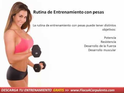 alimentacion saludable para bajar de peso alimentacion saludable para bajar de peso