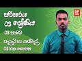 03 වන පාඩම | පැලෑටි හා ගස්වැල්  -  01 වන කොටස  | 03 ශ්‍රේණිය පරිසරය