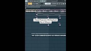 I Fixed Peanuts 2 N Elephant By Lil Wayne